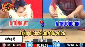 Trận 8 CPC2 Ngày 30/08/2026 Trên Vua Gà AZ