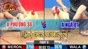 Trận 9 CPC2 Ngày 30/08/2026 Trên Vua Gà AZ