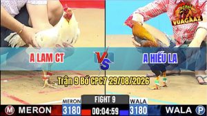 Trận 9 CPC7 29/08/2026 – Anh Hiếu Hạ Anh Lam Trong Vòng 3 Nốt Nhạc