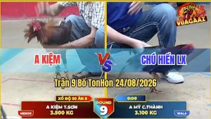 Trận 9 Tonhon 24/08/2026 – Chú Hiển Long Xuyên Chấp Anh Kiệm 4 Chấm