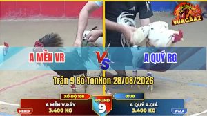 Trận 9 Tonhon 28/08/2026 – Anh Quý Tung Gà Cọp Vào Đá Quá Khôn Khéo