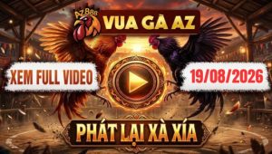 Xem Full Video Đá Gà Xà Xía Ngày 19/08/2026 Tại Vua Gà AZ