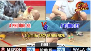 Trận 1 CPC2 06/09/2026 – Anh Phương Gặp Anh Tường Ở Trận Mở Màn