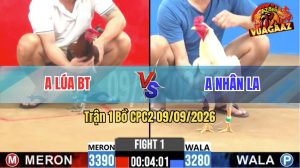 Trận 1 CPC2 09/09/2026 – Gà Úa Anh Nhân Đá Canh Chặn Quá Khéo