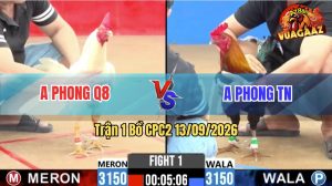 Trận 1 CPC2 13/09/2026 – Anh Phong Q8 Gặp Anh Phong Ở Trận Mở Màn