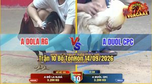 Trận 10 TonHon 14/09/2026 – Anh Duol Đưa Hàng Hiệu Vào Đá Đâm Quá Dâm