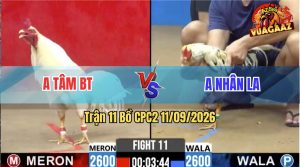 Trận 11 CPC2 11/09/2026 – Anh Tâm Lùa Bạc Bị Anh Nhân Làm Thịt