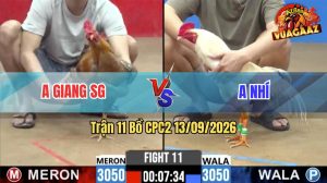 Trận 11 CPC2 13/09/2026 – Gà Anh Nhí Đá Tránh Né Quá Tốc Độ