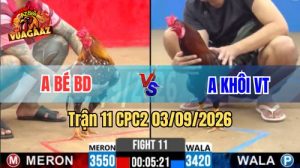 Trận 11 CPC2 Ngày 3/9/2026