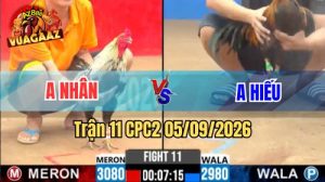 Trận 11 CPC2 Ngày 5/9/2026