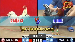 Trận 12 CPC2 01/09/2026 – Gà Điều Điêu Lao Đá Khôn Như Người Ta