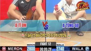 Trận 12 CPC2 07/09/2026 – Anh Tùng Gò Đen Hạ Gọn Anh Tí Đồng Nai