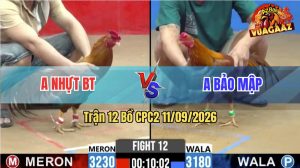 Trận 12 CPC2 11/09/2026 – Anh Nhựt BT Đánh Bại Anh Bảo Mập
