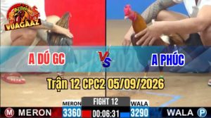 Trận 12 CPC2 Ngày 5/9/2026