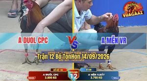 Trận 12 TonHon 14/09/2026 – Anh Mễn Hạ Anh Duol Trong 1 Tay Nước