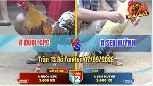 Trận 12 Tonhon 07/09/2026 – Anh Duol CPC Không Cho Anh Sen Cơ Hội Nào