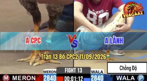 Trận 13 CPC2 11/09/2026 – Anh Lành Tung Gà Bướm Hiệu Vào Sân