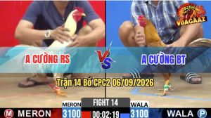 Trận 14 CPC2 06/09/2026 – Anh Cường Bị Dí Bạc Láo Và Cái Kết