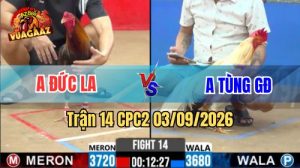 Trận 14 CPC2 Ngày 3/9/2026