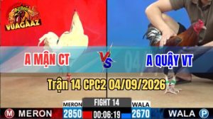 Trận 14 CPC2 Ngày 4/9/2026