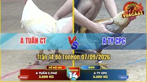 Trận 14 Tonhon 07/09/2026 – Anh Tuấn Cần Thơ Gặp Anh Ty Campuchia