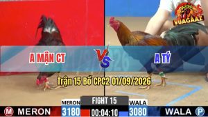 Trận 15 CPC2 01/09/2026 – Gà Anh Mận CT Bươi Chà Như Cái Máy