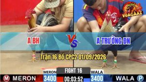 Trận 16 CPC2 01/09/2026 – Gà Bông Phút Cuối Có Chân Dứt Điểm