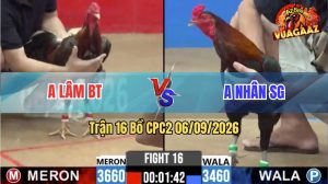 Trận 16 CPC2 06/09/2026 – Anh Lâm Bị Anh Nhân Phóng Bạc Ăn 6