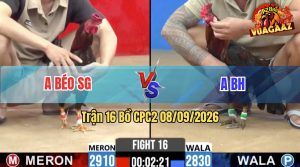 Trận 16 CPC2 08/09/2026 – Anh Béo SG Đúng Phải Đối Thủ Cứng Cựa