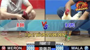 Trận 17 CPC2 11/09/2026 – Gà Đỏ Chưa Thả Đã Phóng Bạc Gà Xanh Ăn 6