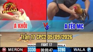 Trận 17 CPC2 Ngày 5/9/2026