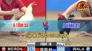 Trận 18 CPC2 13/09/2026 – Anh Tâm SG Hạ Anh Vãng Trong Vòng 1 Nốt Nhạc