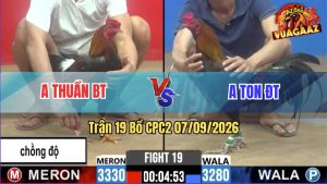 Trận 19 CPC2 07/09/2026 – Anh Thuần Bến Tre Chồng Độ Lên Lớp