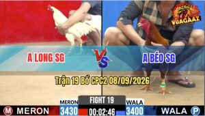 Trận 19 CPC2 08/09/2026 – Anh Long Sài Gòn Gặp Anh Béo Sài Gòn