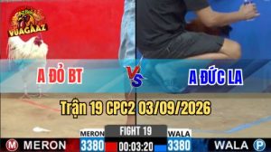 Trận 19 CPC2 Ngày 3/9/2026