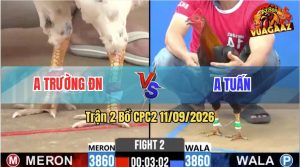 Trận 2 CPC2 11/09/2026 – Gà Anh Tuấn Gồng Tang Tốt Thắng Ngược