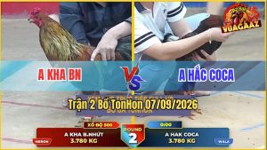 Trận 2 Tonhon 07/09/2026 – Anh Hắc Coca Và Anh Kha BN, Xổ 500 Triệu