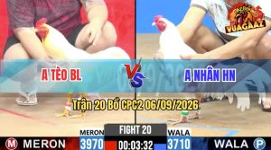 Trận 20 CPC2 06/09/2026 – Anh Nhân Hạ Anh Tèo Trong 3 Nốt Nhạc