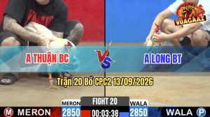 Trận 20 CPC2 13/09/2026 – Gà Anh Thuận Bươi Chà Như Cái Máy