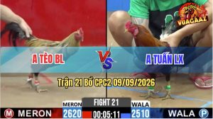 Trận 21 CPC2 09/09/2026 – Anh Tuấn Long Xuyên Gặp Anh Tèo Bảo Lộc