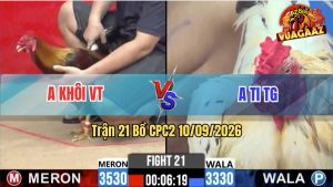 Trận 21 CPC2 10/09/2026 – Gà Bướm Anh Ti Có Chân Phản Thắng Ngược