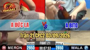 Trận 21 CPC2 Ngày 3/9/2026