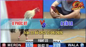 Trận 22 CPC2 12/09/2026 – Gà Chuối Anh Phút Canh Chặn Quá Khéo