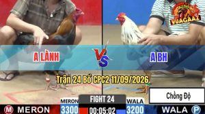 Trận 24 CPC2 11/09/2026 – Gà Xanh Chồng Độ Lên Lớp Thành Công