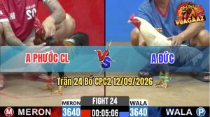 Trận 24 CPC2 12/09/2026 – Anh Đức Có Pha Lật Kèo Quá Hay