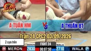 Trận 24 CPC2 Ngày 3/9/2026