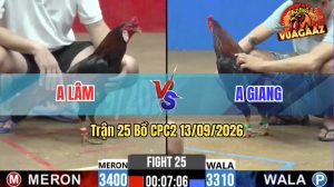 Trận 25 CPC2 13/09/2026 – Gà Anh Lâm Đá Chân Nào Cũng Có Cựa