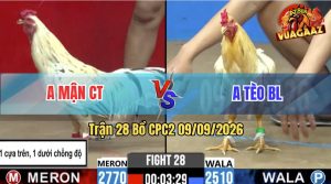 Trận 28 CPC2 09/09/2026 – Anh Tèo BL Thất Thủ Trước Anh Mận CT
