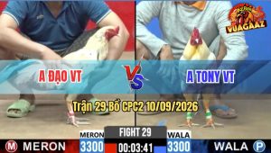Trận 29 CPC2 10/09/2026 – Gà Anh Đạo VT Gồng Gánh Cứu Chủ