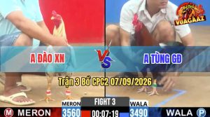 Trận 3 CPC2 07/09/2026 – Anh Đào Xứ Nẫu Hạ Đẹp Anh Tùng Gò Đen